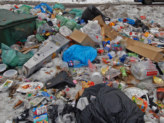 Архангельской области пора обратить внимание на мусор во дворах